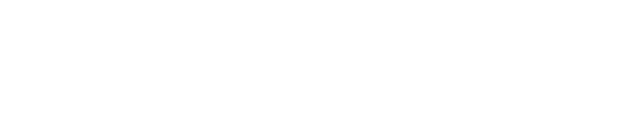 Solonomous